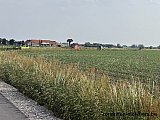 Zandlemig Vlaanderen